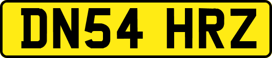 DN54HRZ