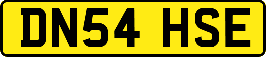 DN54HSE