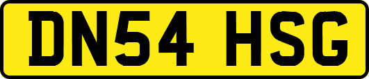 DN54HSG