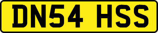 DN54HSS