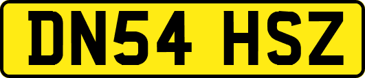 DN54HSZ