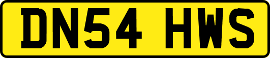 DN54HWS