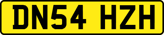 DN54HZH