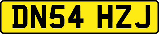 DN54HZJ