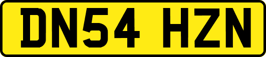 DN54HZN