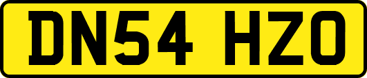 DN54HZO