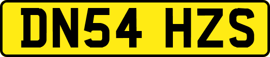 DN54HZS