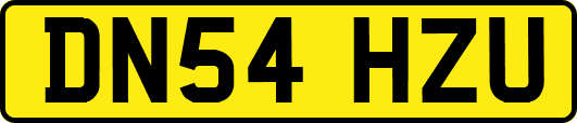 DN54HZU