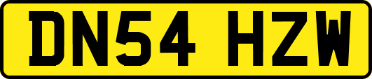 DN54HZW