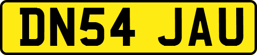 DN54JAU