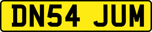 DN54JUM