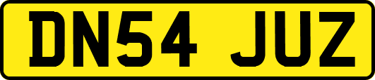 DN54JUZ