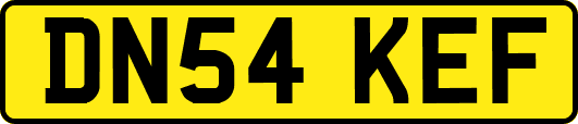 DN54KEF