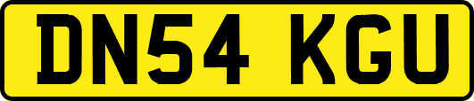 DN54KGU