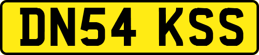 DN54KSS