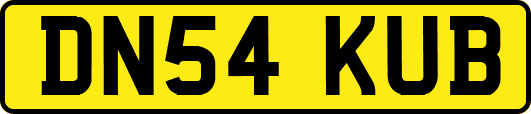 DN54KUB