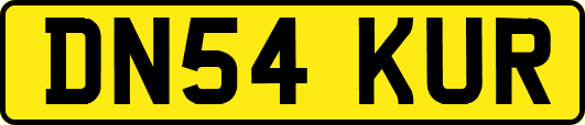 DN54KUR