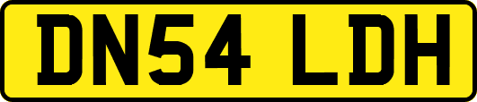 DN54LDH