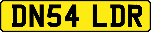 DN54LDR