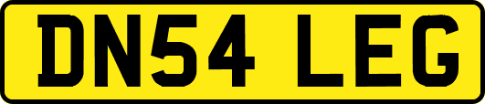 DN54LEG