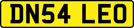 DN54LEO