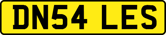 DN54LES