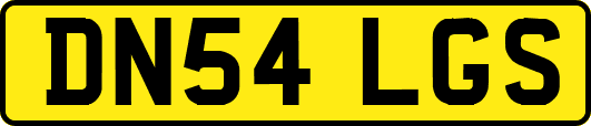 DN54LGS