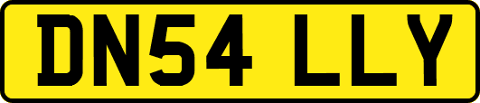 DN54LLY