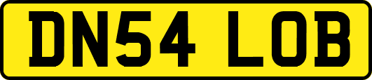 DN54LOB