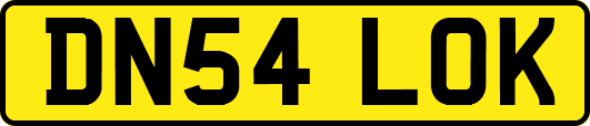 DN54LOK