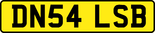 DN54LSB