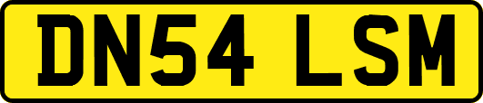 DN54LSM