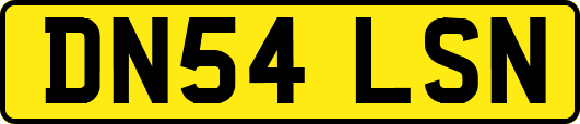 DN54LSN