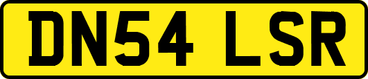 DN54LSR