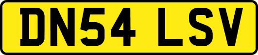 DN54LSV