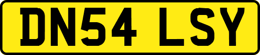 DN54LSY