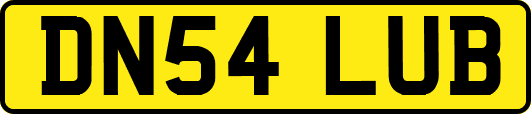 DN54LUB