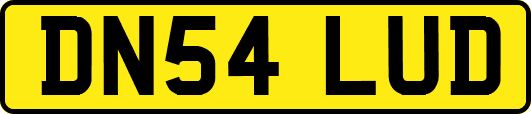 DN54LUD