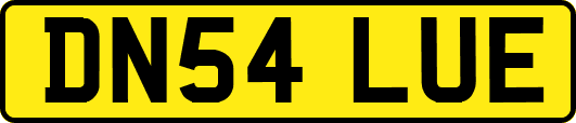 DN54LUE