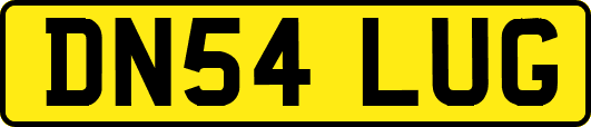 DN54LUG