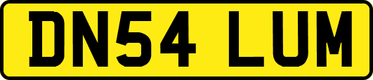 DN54LUM