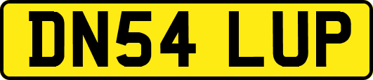 DN54LUP
