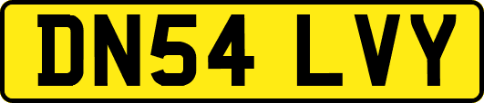 DN54LVY