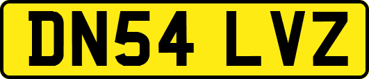 DN54LVZ