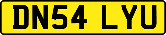 DN54LYU