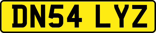 DN54LYZ