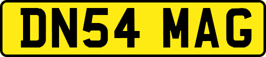 DN54MAG