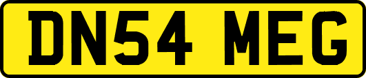 DN54MEG
