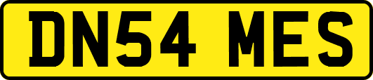 DN54MES