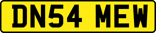 DN54MEW